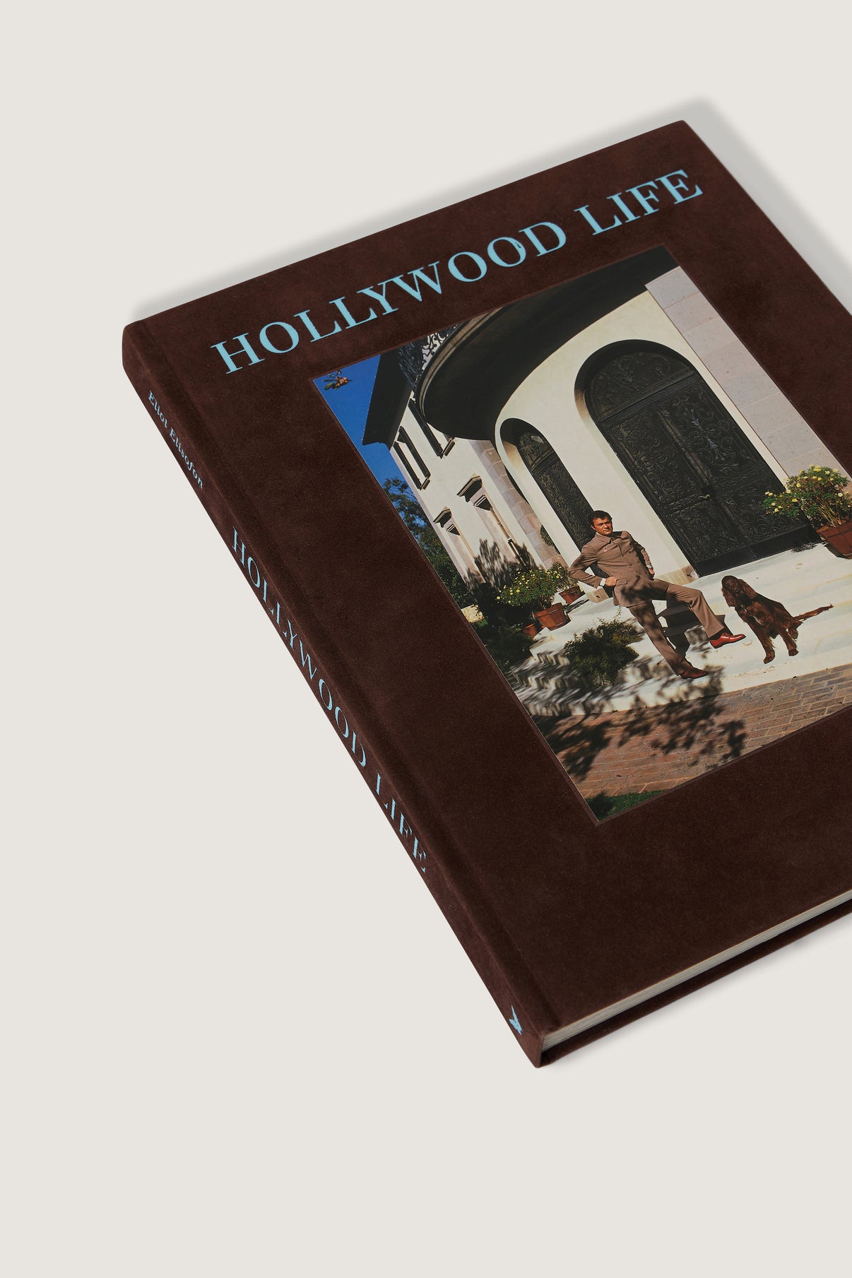 LIVRE "HOLLYWOOD LIFE" vue 2